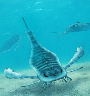 Sea Scorpion