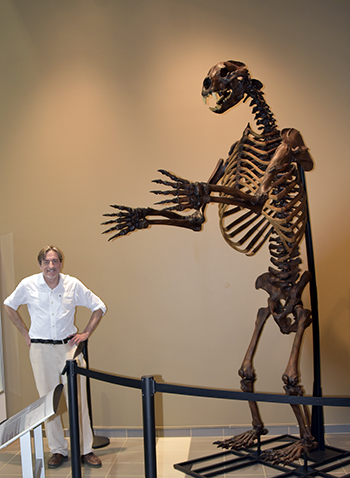 Giant Ground Sloth