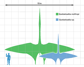 Quetzscale